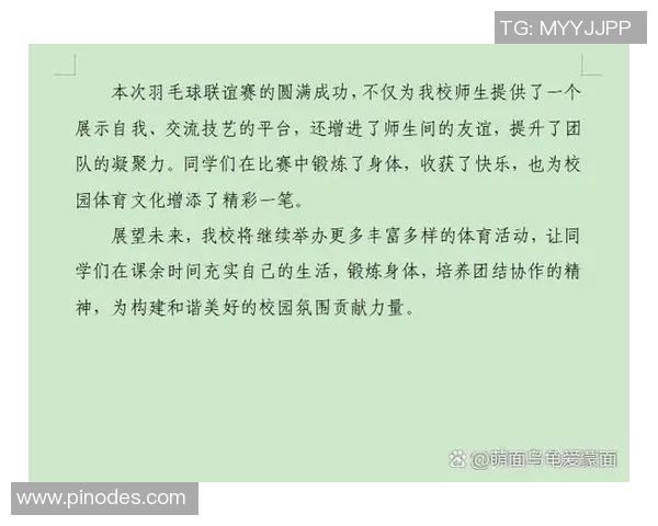 武汉羽毛球队比赛经验分享与提升策略的深入探讨